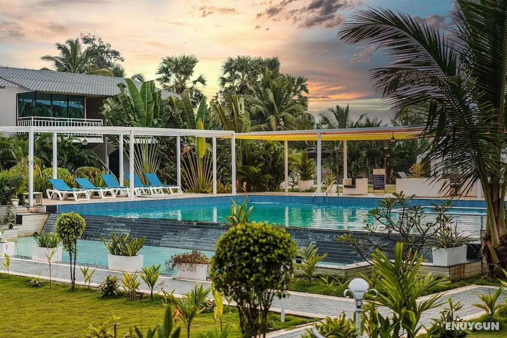 Foxoso La Alphonso Beach Resort & Spa - Havuz