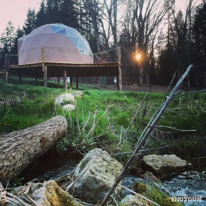 Foxy Camp Insolite - Oda