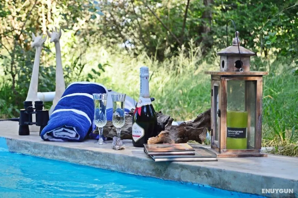 Foxy Crocodile Bush Retreat - Öne Çıkan Resim