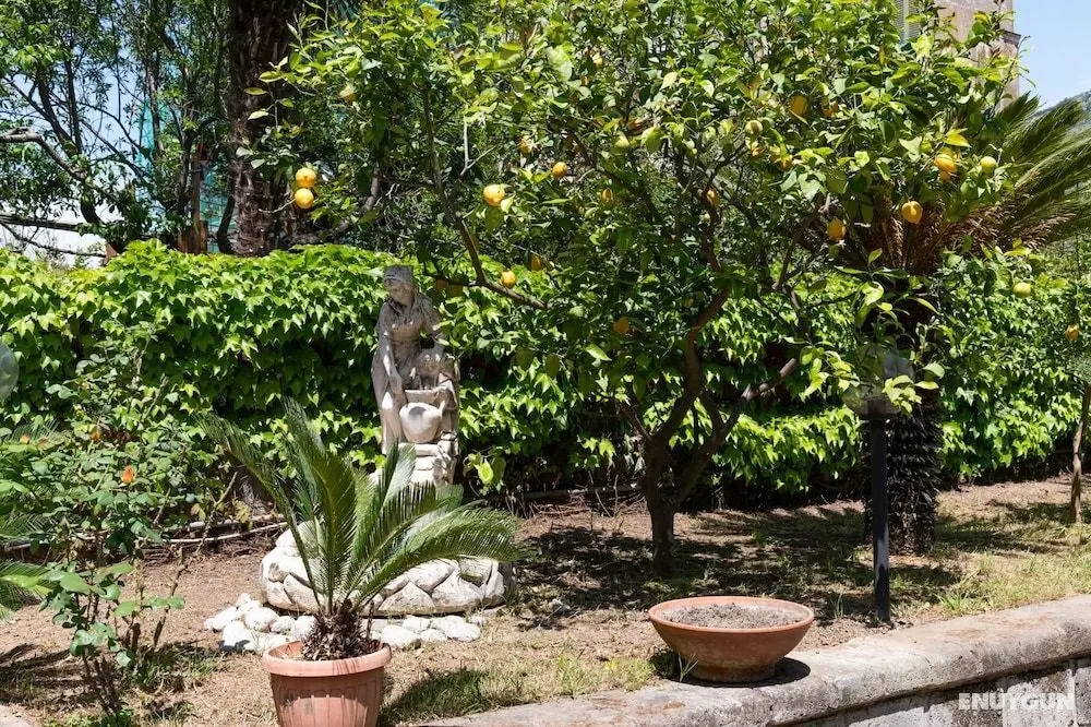 Villa Francesca - Öne Çıkan Resim