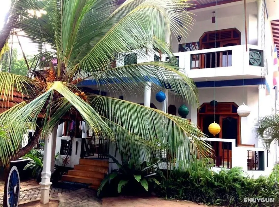 Frangipani beach villa - Dış Mekan