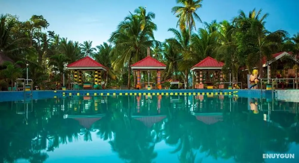 Freedom Eco Adventure Park - Havuz