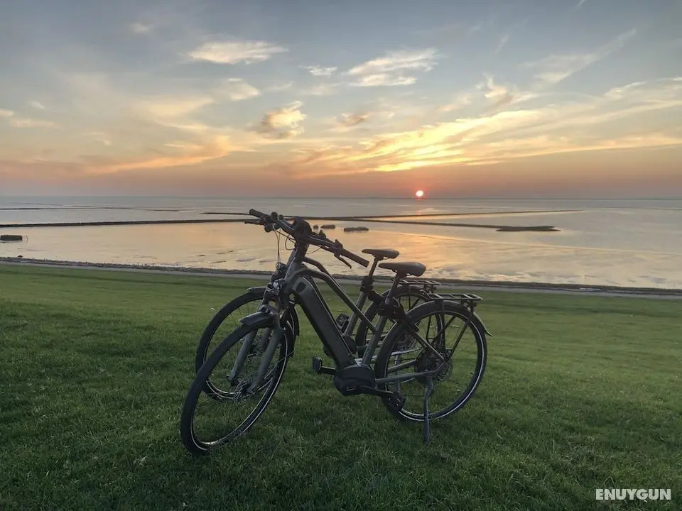Freie Sicht Das Nordsee-Gesundheitshaus 2 - Aktiviteler