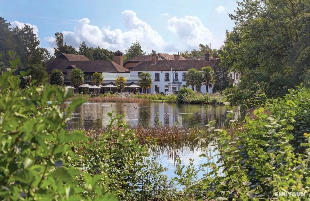 Frensham Pond Country House Hotel & Spa - Öne Çıkan Resim