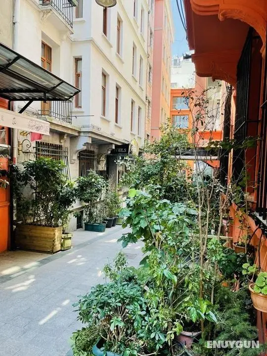 Hotel Fresia İstanbul - Genel