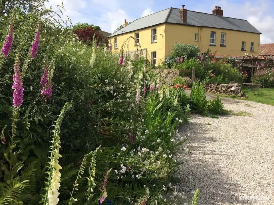 Frizenham Farmhouse B&B - Öne Çıkan Resim