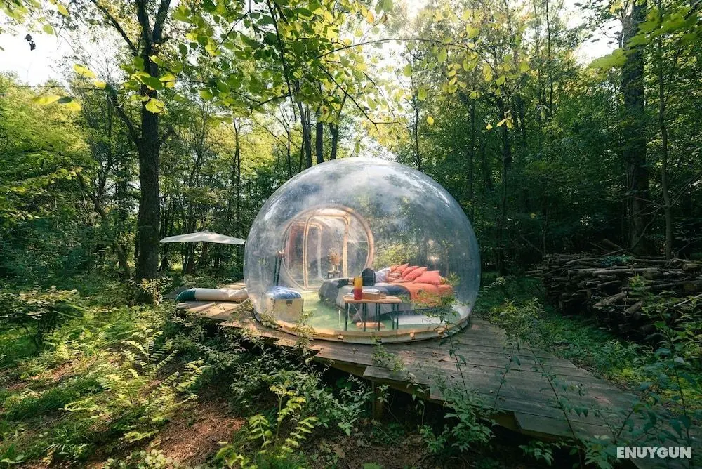 Future is Nature Playground - Öne Çıkan Resim