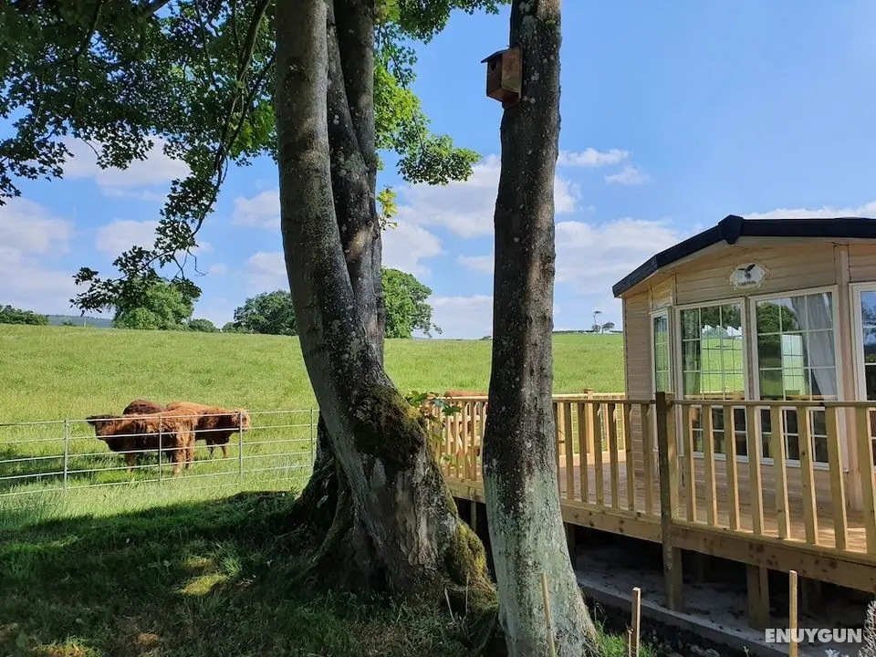 Gaerhyfryd Static Caravan - Öne Çıkan Resim