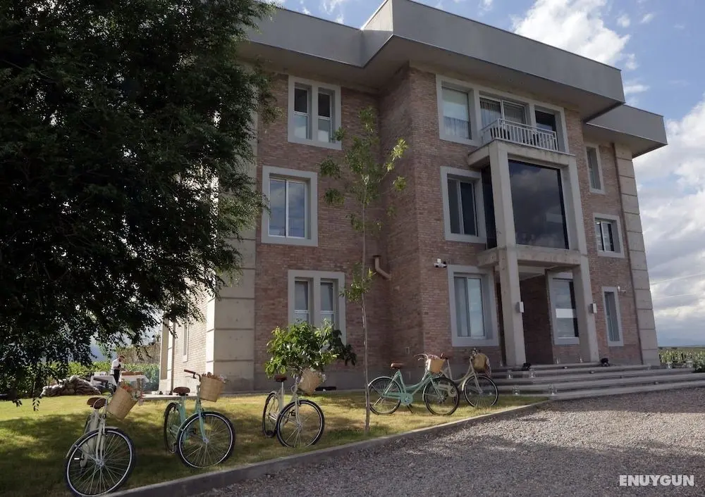 Gaia Lodge - Aktiviteler