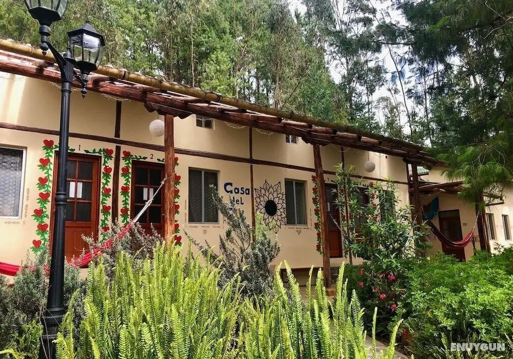 Gaia Sagrada Ayahuasca Retreat Center - Öne Çıkan Resim