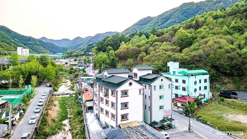 Gangchon Pine Hill Pension - Dış Mekan