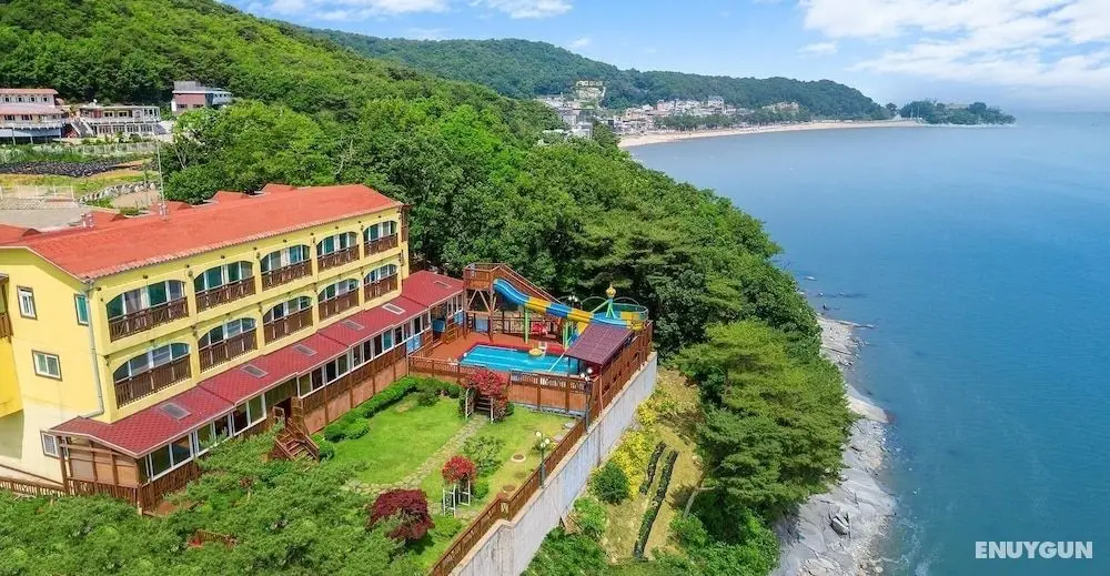Ganghwa Hana & Alice spa Pension - Dış Mekan