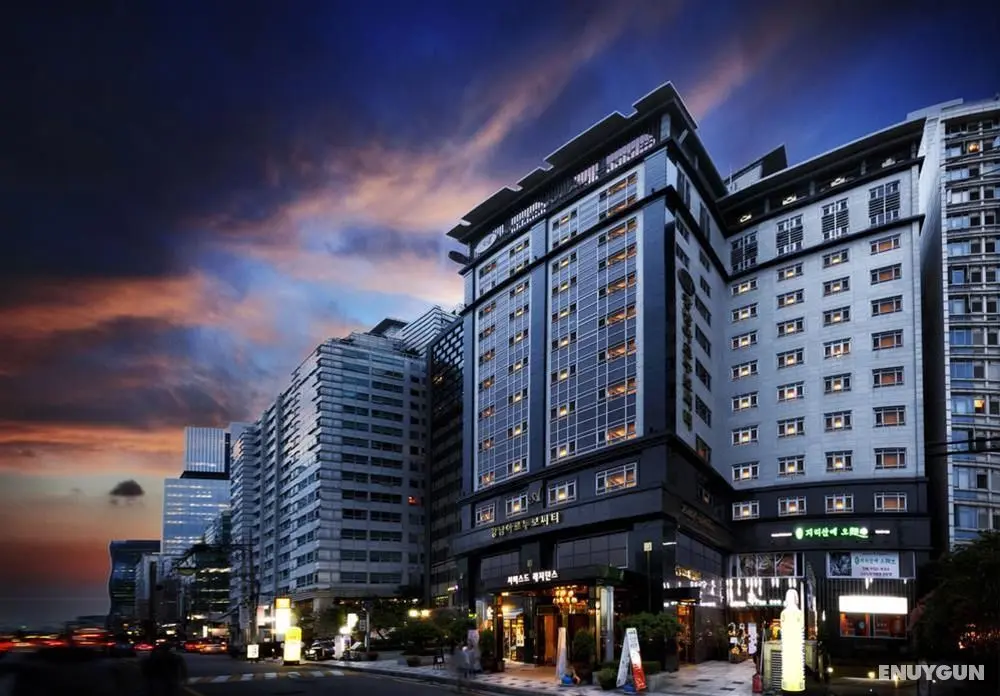 Gangnam Artnouveau Hotel - Genel