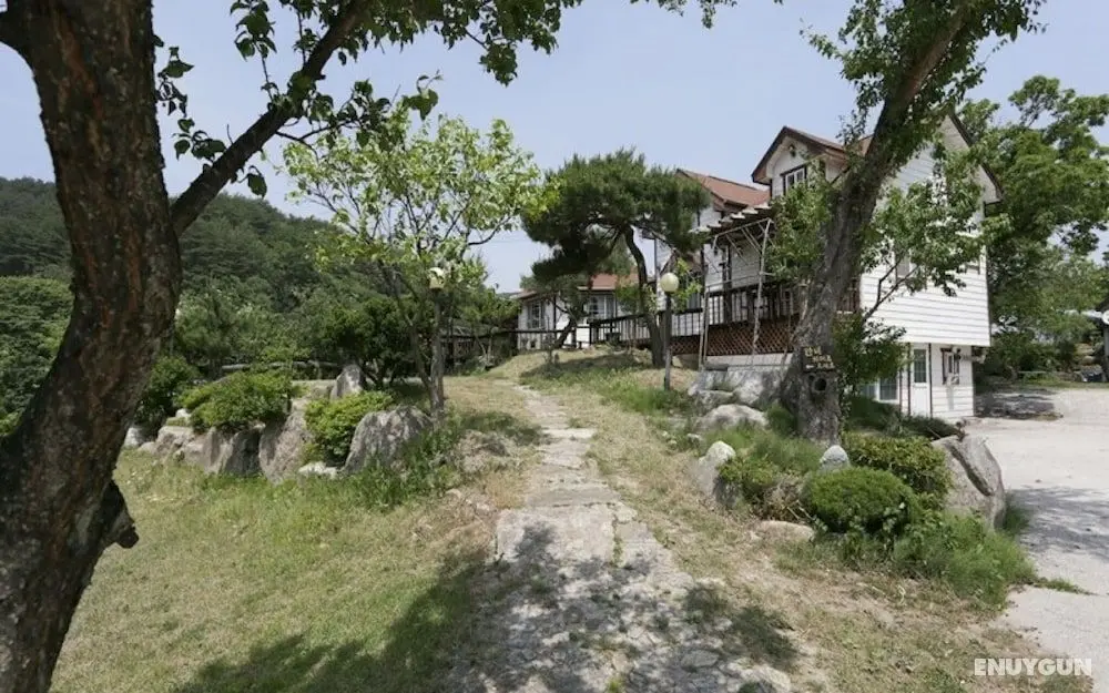 Gangneung Baugol Pension - Misafir Tesisleri ve Hizmetleri