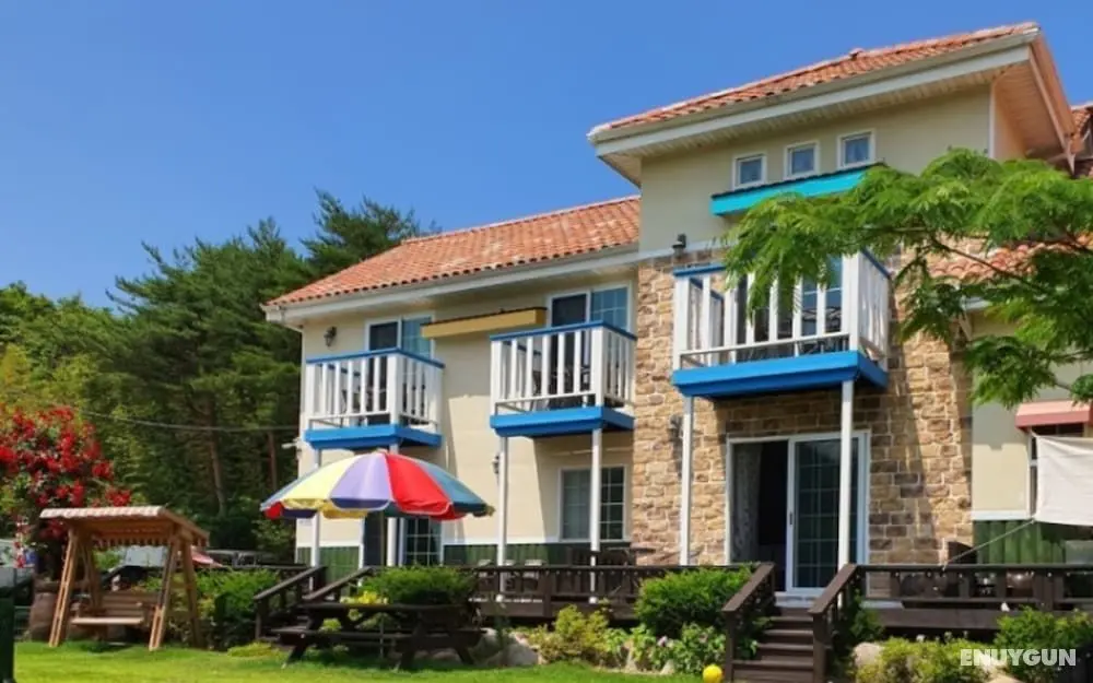 Gangneung Friends Pets Friendly Pension - Öne Çıkan Resim