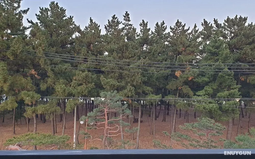 Gangneung Gangmunae Guest House - Oda