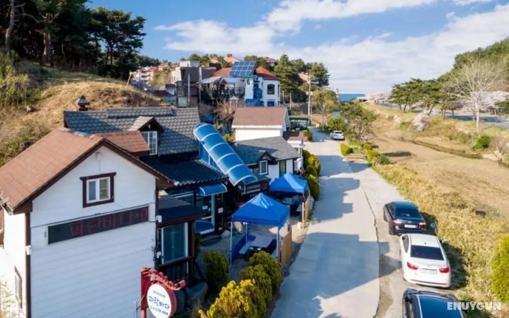 Gangneung Gyeongpo Paranbada Pension - Misafir Tesisleri ve Hizmetleri