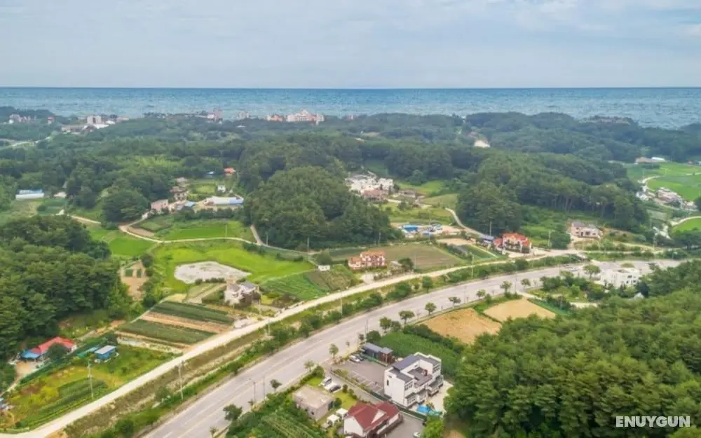 Gangneung Gyeongpo Rosa Pool Villa - Misafir Tesisleri ve Hizmetleri