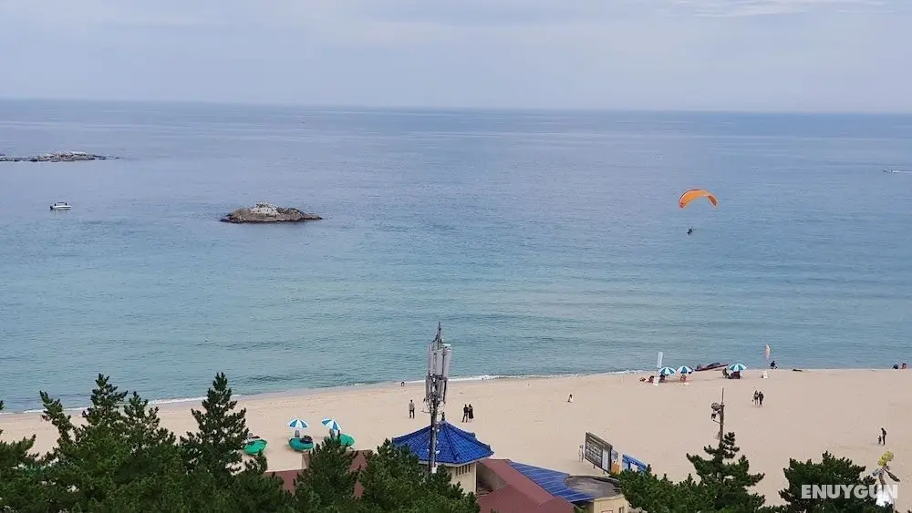 Gangneung Ocean Marina Pension - Hostel - İlgi Noktası