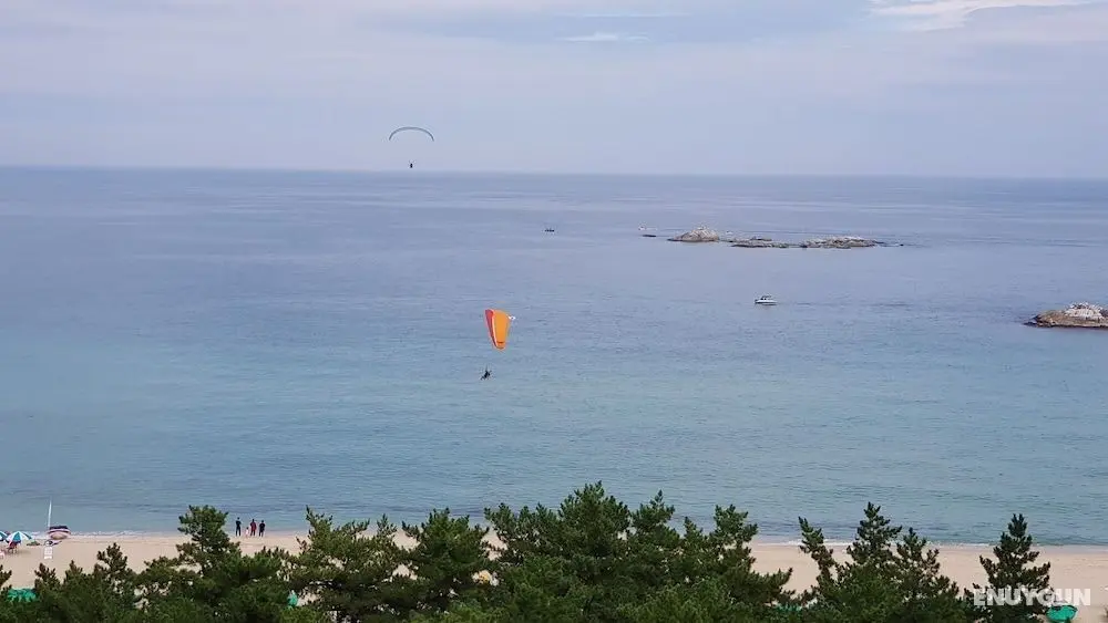 Gangneung Seaview Pension - İlgi Noktası