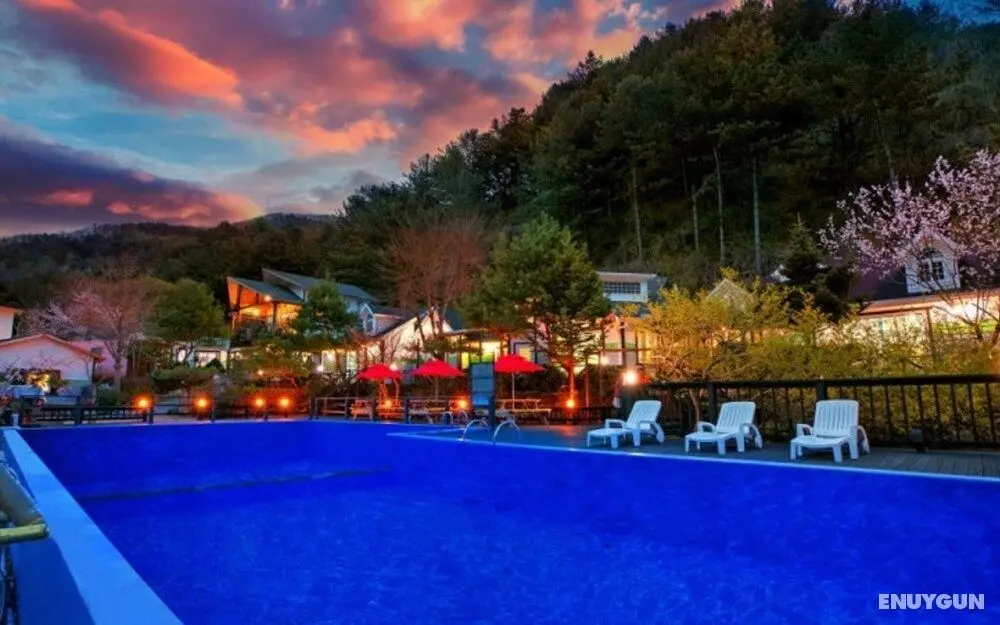 Gapyeong Attirance Pension - Misafir Tesisleri ve Hizmetleri