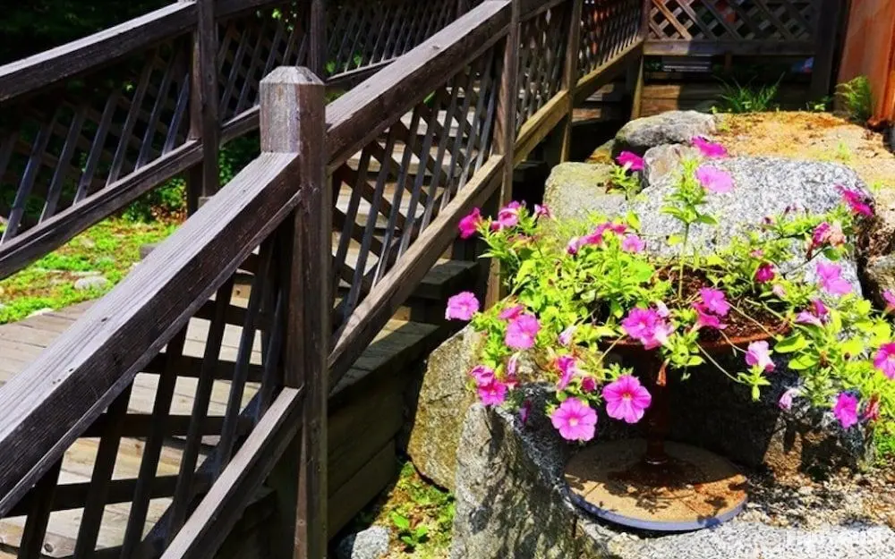 Gapyeong Evening Scent Pension - Misafir Tesisleri ve Hizmetleri