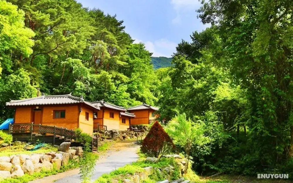 Gapyeong Evening Scent Pension - Öne Çıkan Resim