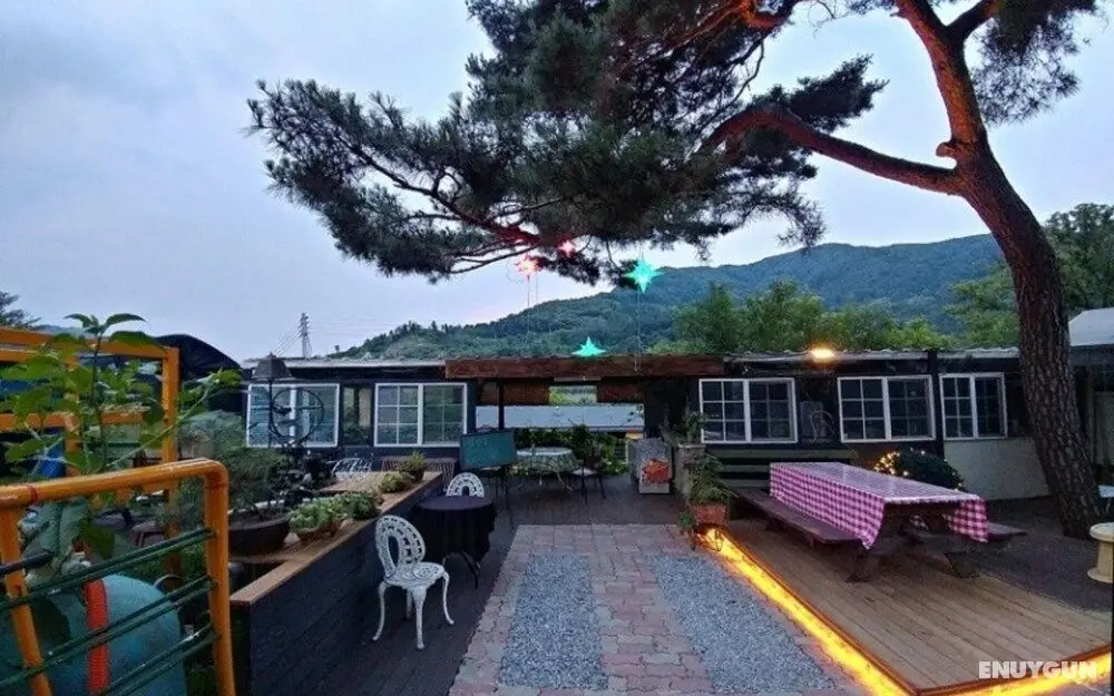 Gapyeong Pine Pension - Misafir Tesisleri ve Hizmetleri