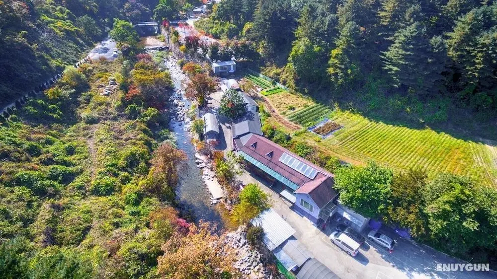 Gapyeong Yeoul Kids Pension - Dış Mekan