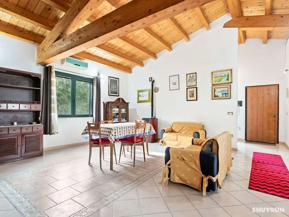 With Garden and air Conditioning, Among the Flamingos - Öne Çıkan Resim