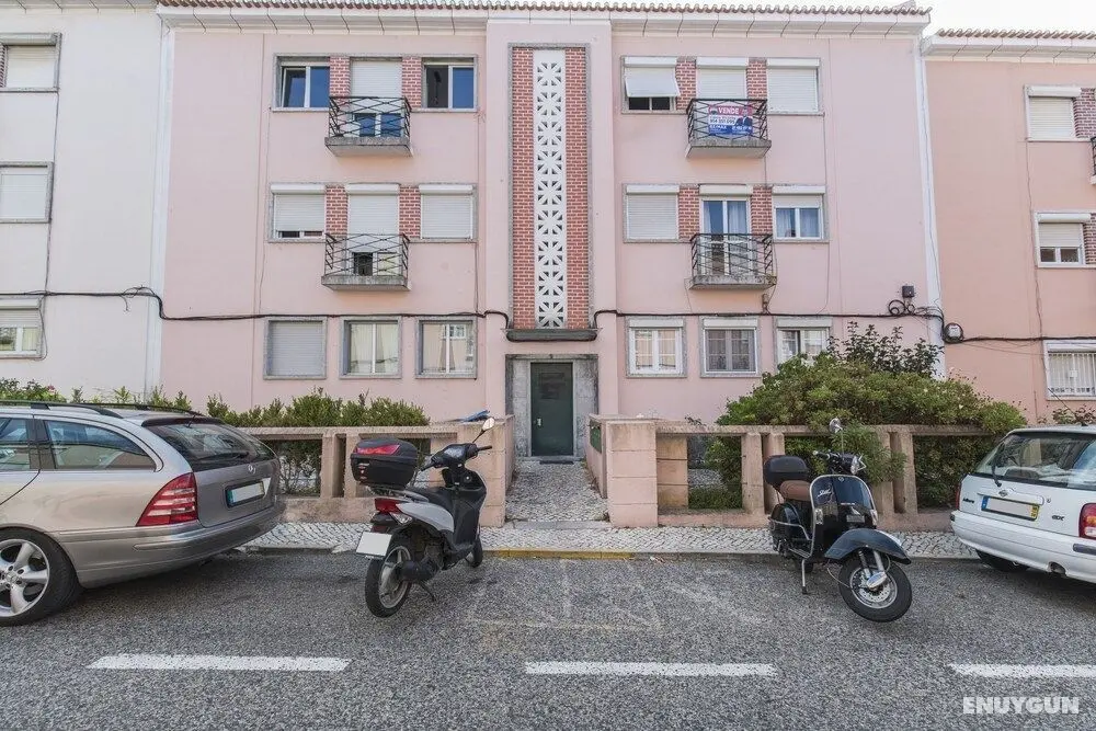 Garden House in Alvalade - Dış Mekan