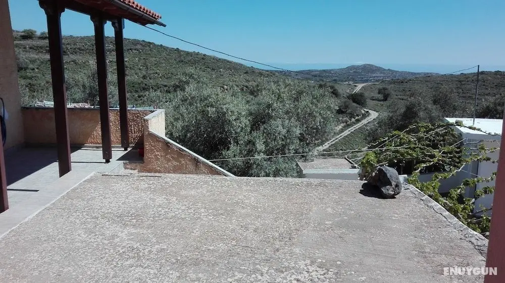 Garden Of Olive Trees - Oda Manzaraları