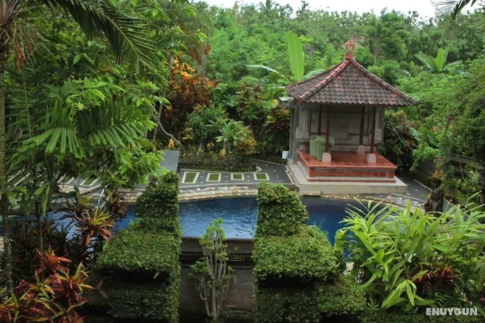Garden View Cottage - Genel