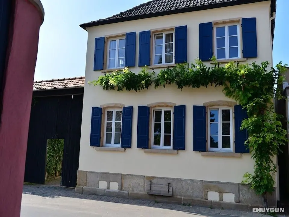 Gästehaus Gehrig - Öne Çıkan Resim