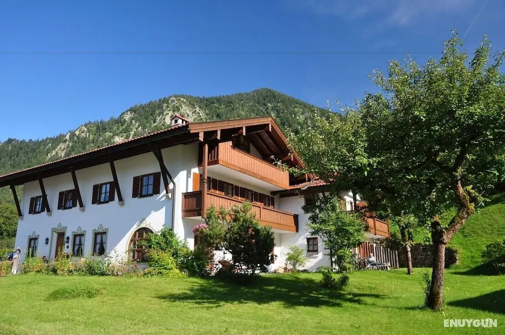 Gästehaus Gritscher - Öne Çıkan Resim
