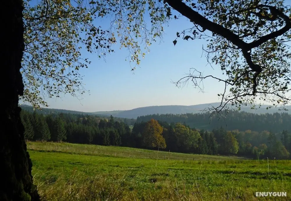 Hotel-Gasthof Thüringer Hof - Aktiviteler