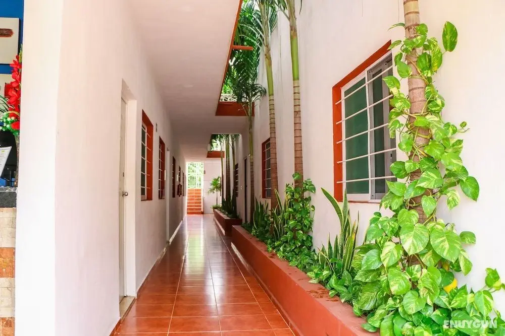 Gayser Apartamentos - İç Mekan