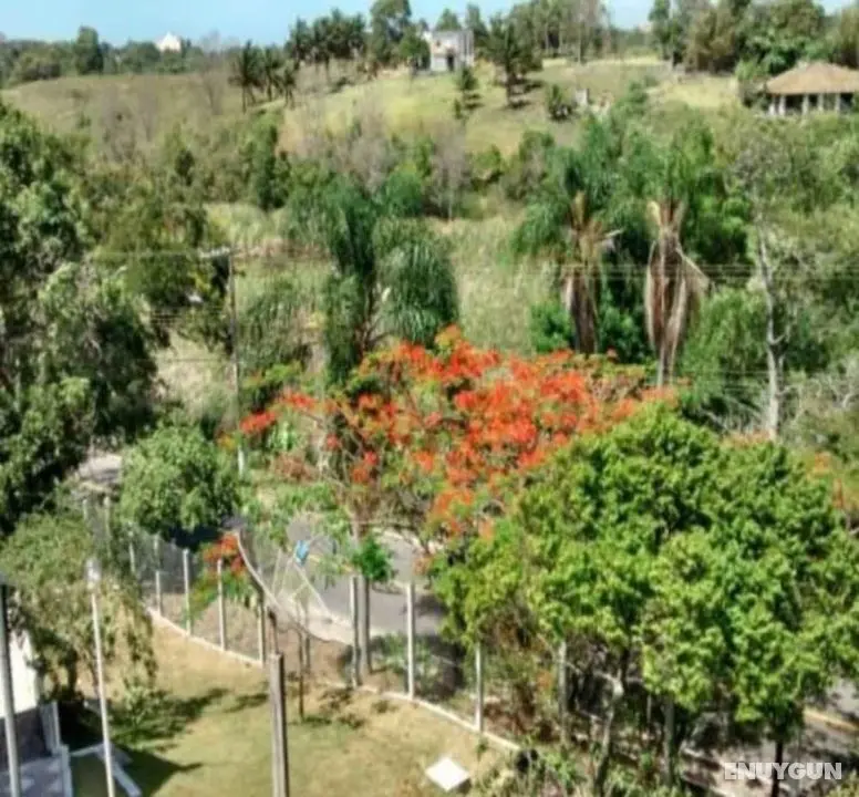 Village dos Pássaros - Oda Manzaraları