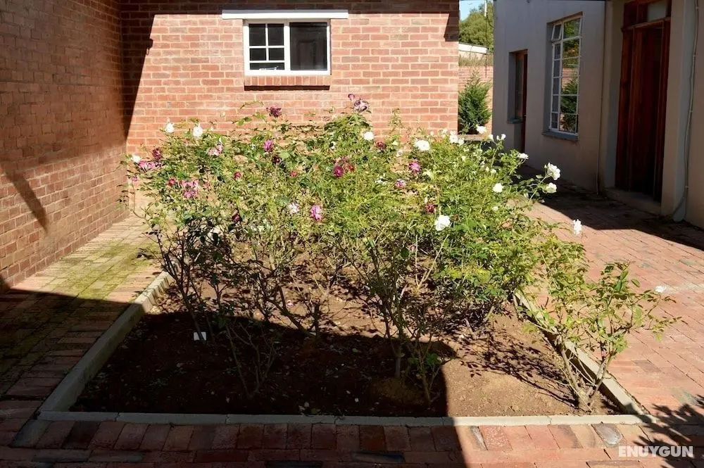 Village Lodge Harrismith - Dış Mekan