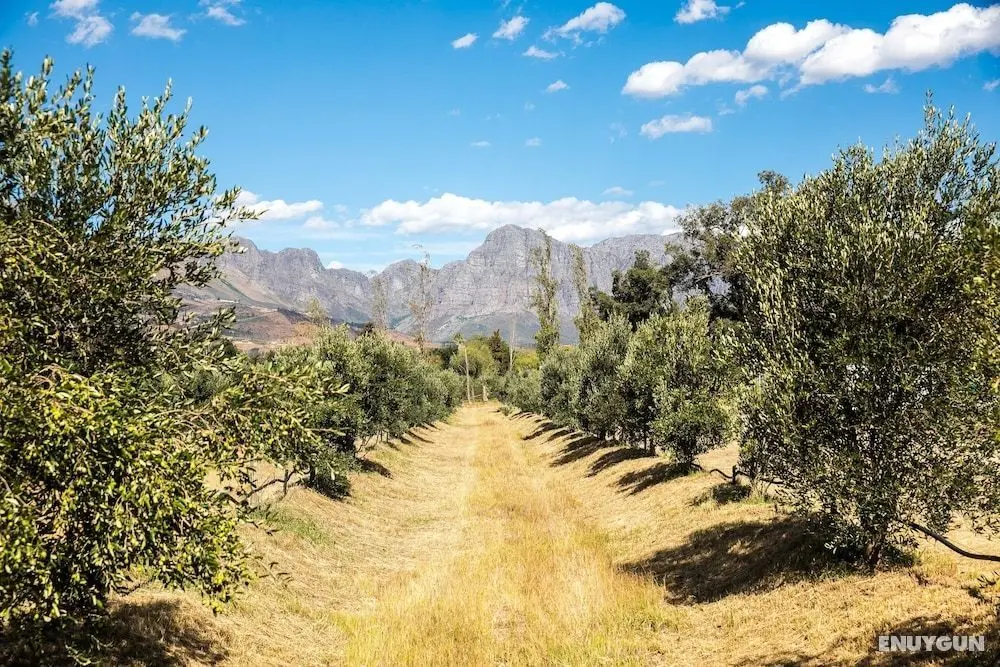 Village Lodge Paarl - Dış Mekan