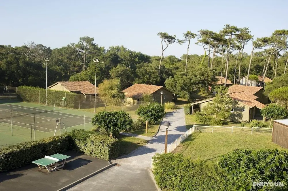 Village Vacances La Forêt des Landes - Öne Çıkan Resim