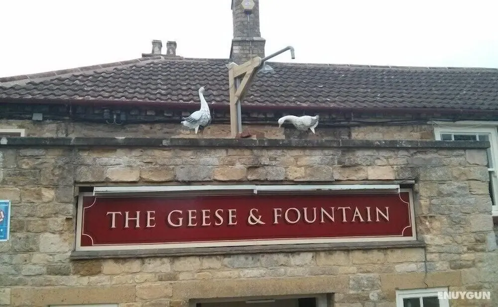 The Geese and Fountain - Öne Çıkan Resim