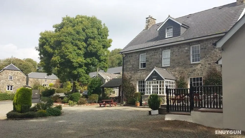 Gellifawr Woodland Retreat - Öne Çıkan Resim