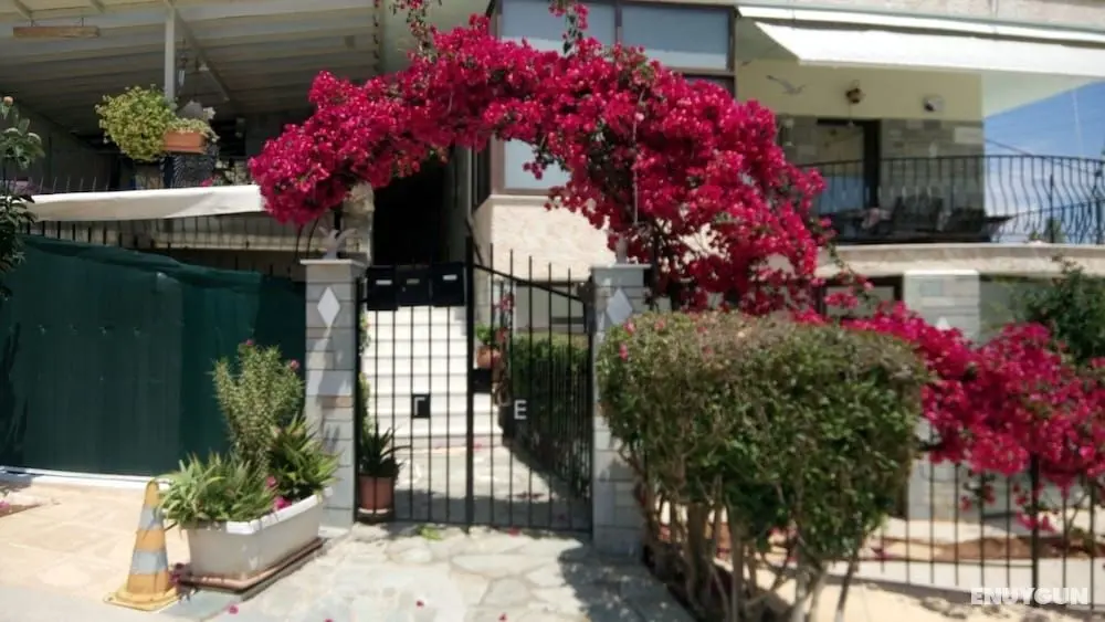 Villa George - Öne Çıkan Resim