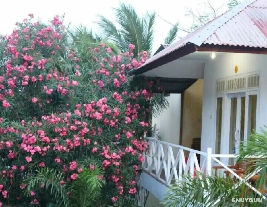 Gerald Homestay - Öne Çıkan Resim