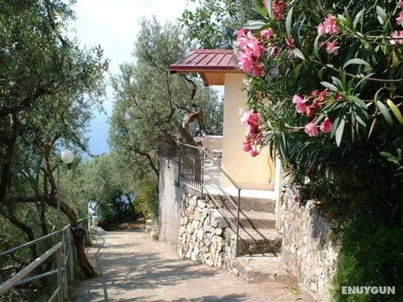 Villaggio Baia Serena - Genel