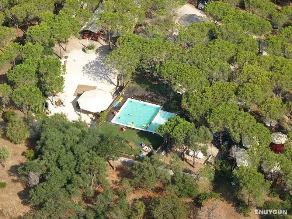 Villaggio Camping Calapineta - Dış Mekan