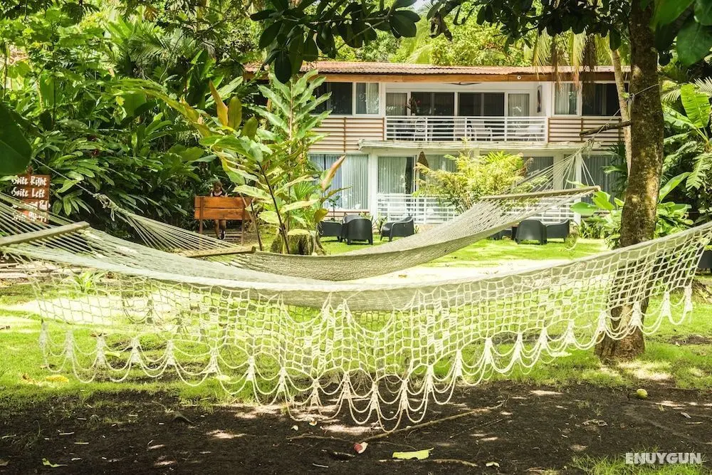 Gigi Brown Suites Puerto Viejo - Öne Çıkan Resim
