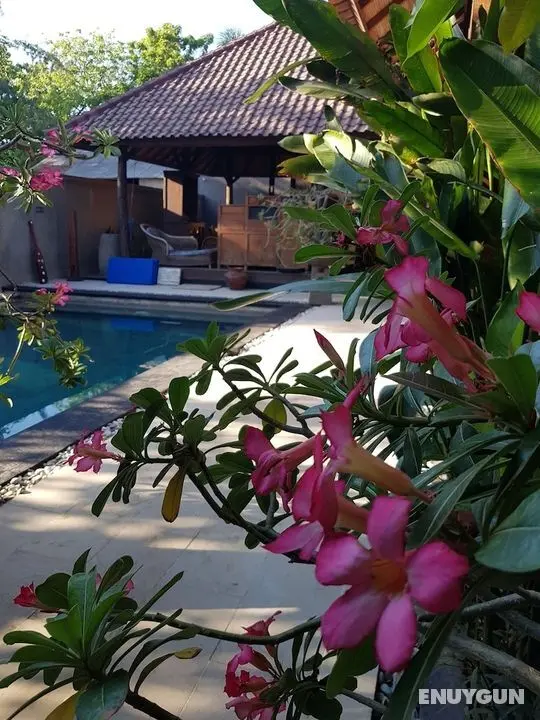 Gili Exotic Villas - Öne Çıkan Resim