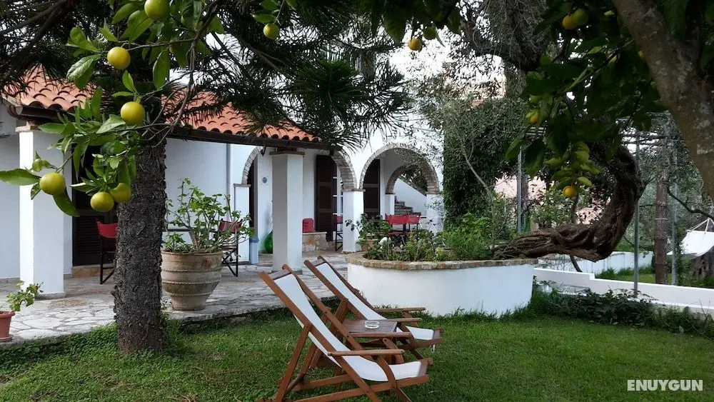 Gina Studios - Öne Çıkan Resim